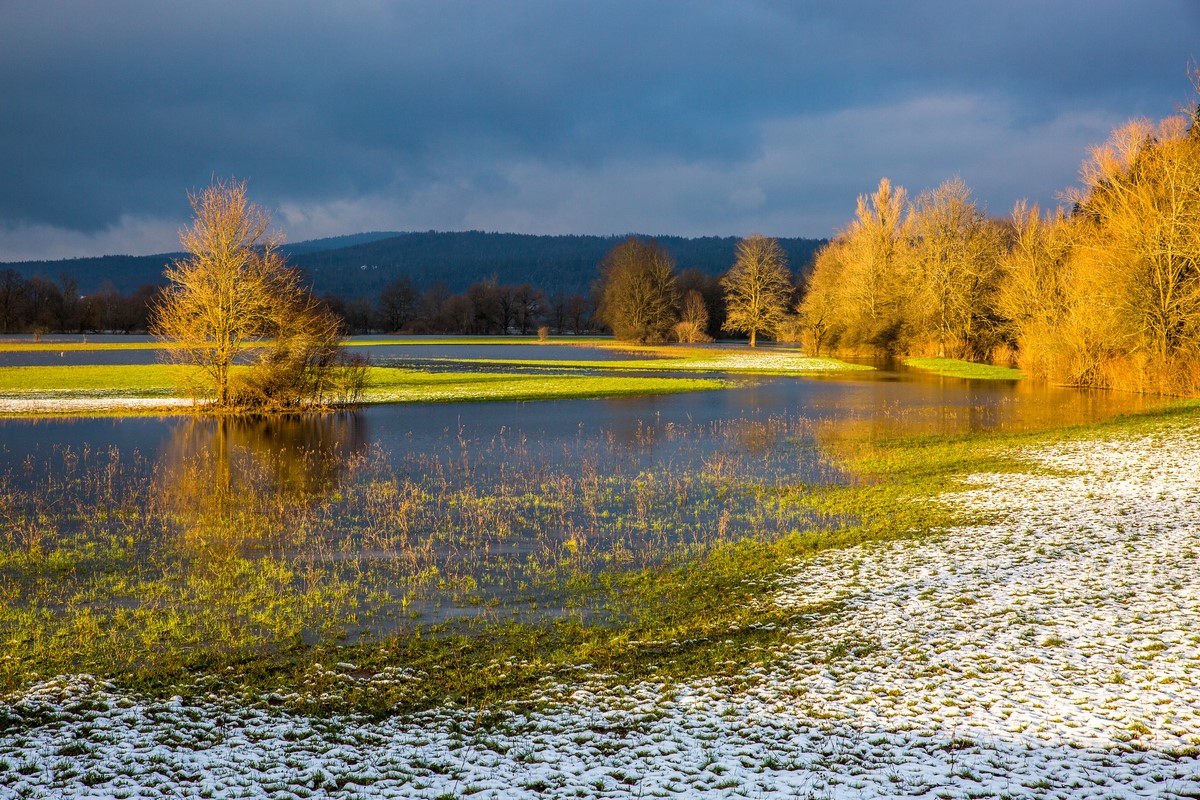 2020年，计算机视觉领域会哪些新的研究方向值得提前探索？
