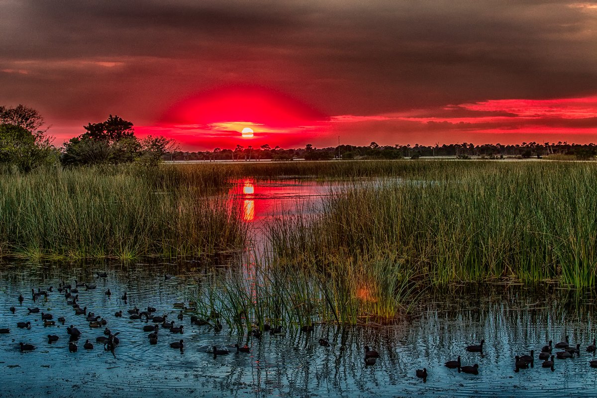 深度学习环境配置常见问题集